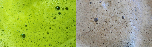 Matcha vs. Hojicha: Understanding The Differences