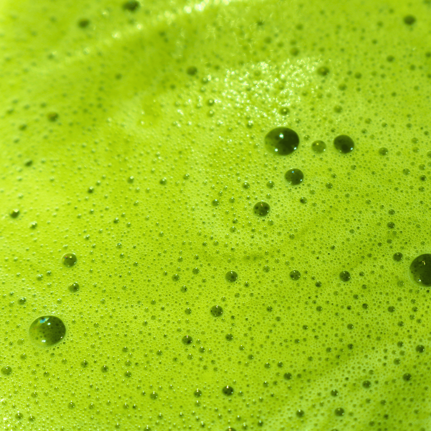 Organic Ceremonial Matcha (50g)